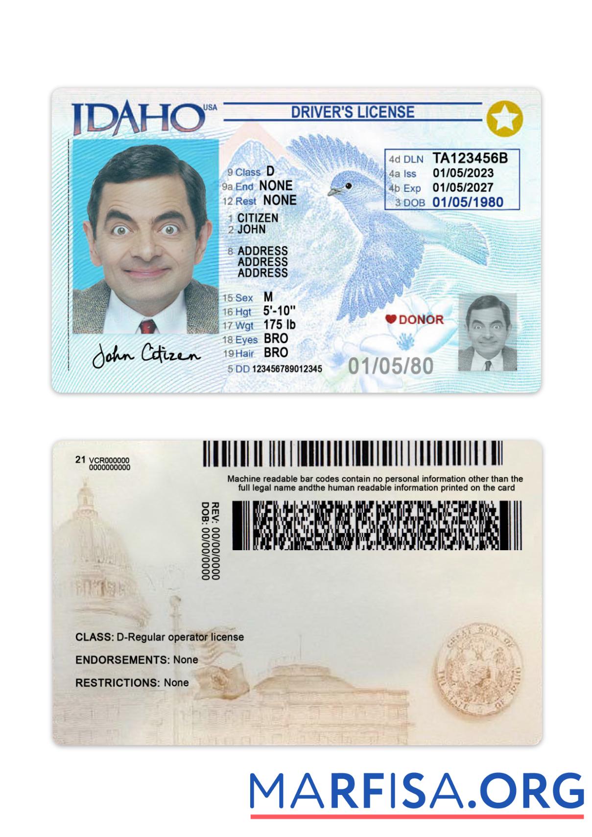 Realistic USA Idaho driving license 2023 present template